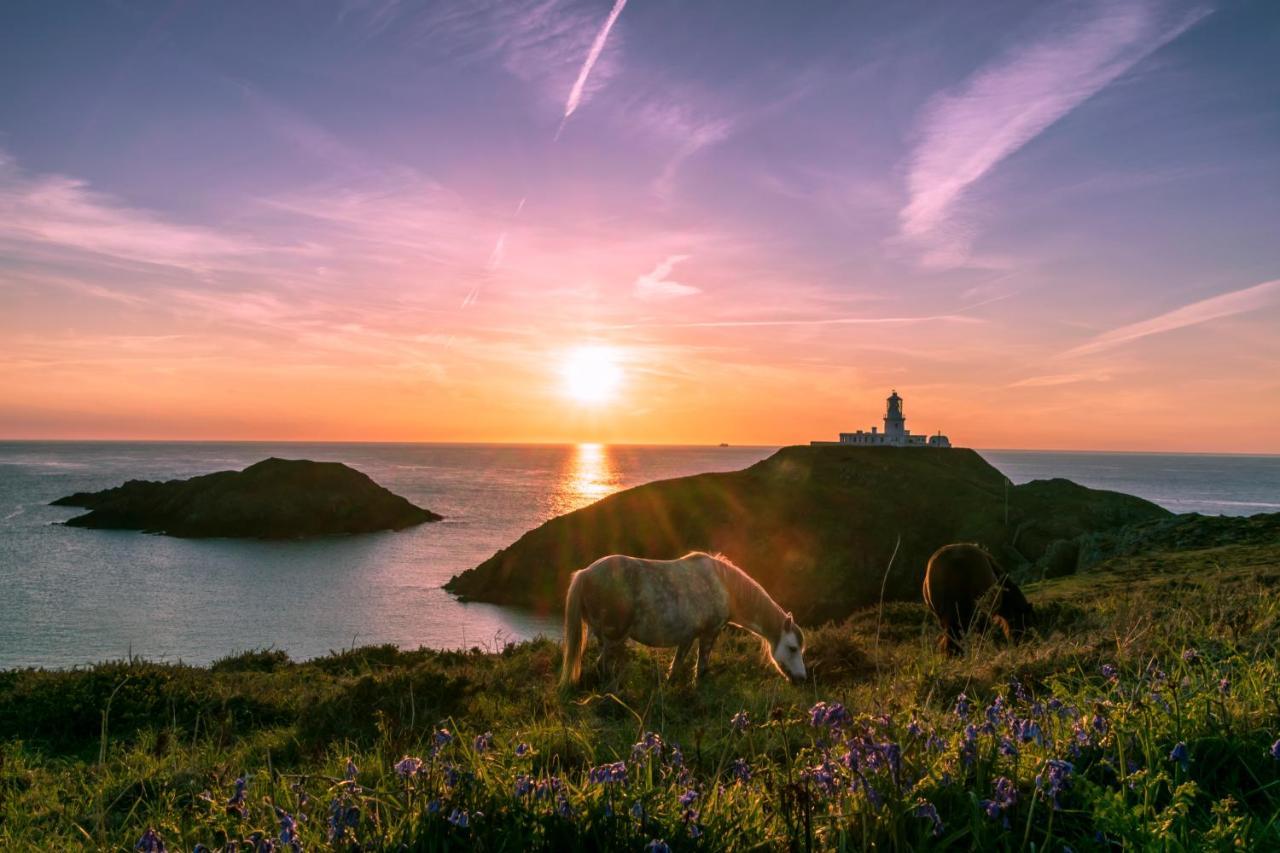 Vila Carreg Yr Onnen Haverfordwest Exteriér fotografie